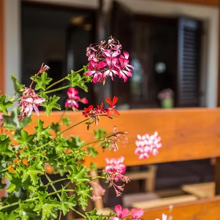 Mit Privatpool Fuer 6 Personen Ca 90 Qm In Pula, Istrien Istrische Riviera Feriehus Pula